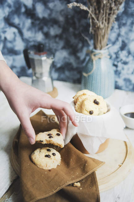 Plan rapproché de délicieux biscuits à la vanille avec des gouttes de chocolat — Photo de stock