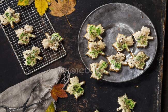 Autumnal maple biscuits with maple syrup — Stock Photo