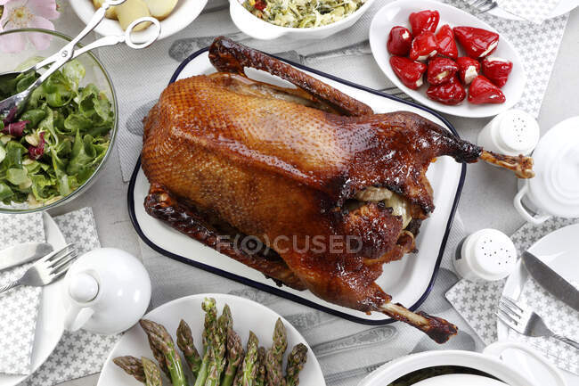Roast and stuffed goose — Stock Photo