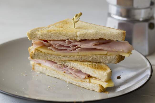 Toasted ham and cheese sandwich, halved in two pieces — Stock Photo