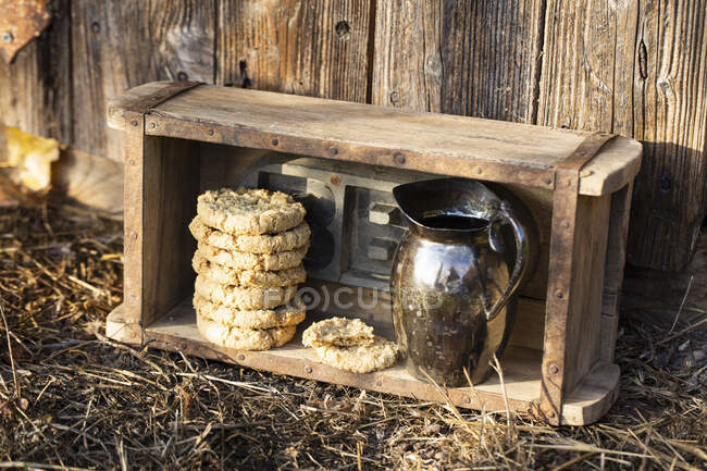 Oat biscuits close-up view — Stock Photo