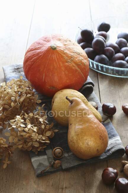 Freshly harvested autumn pears, pumpkins, plums, and chestnuts, with dried hydrangea blossoms on a rustic wooden table — Stock Photo