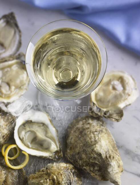 Oysters and a glass of Chenin Blanc (seen from above) — Stock Photo