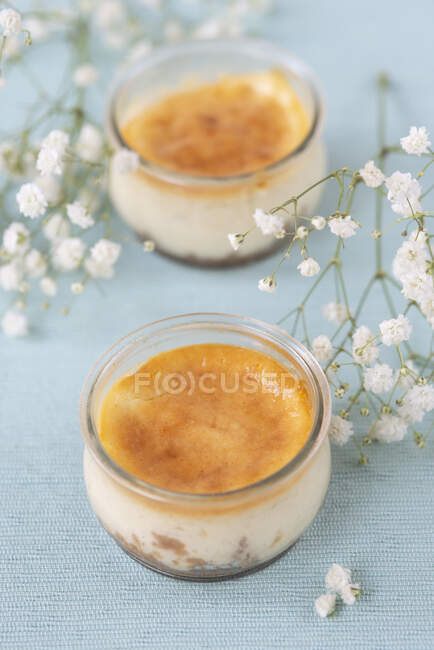 Mini bolos de queijo em um jarro — Fotografia de Stock
