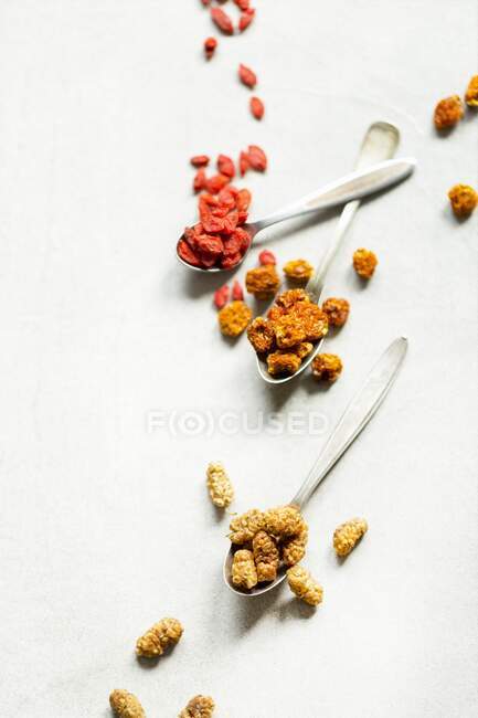 Mirtilli rossi, physalis e gelsi secchi su cucchiai d'epoca — Foto stock