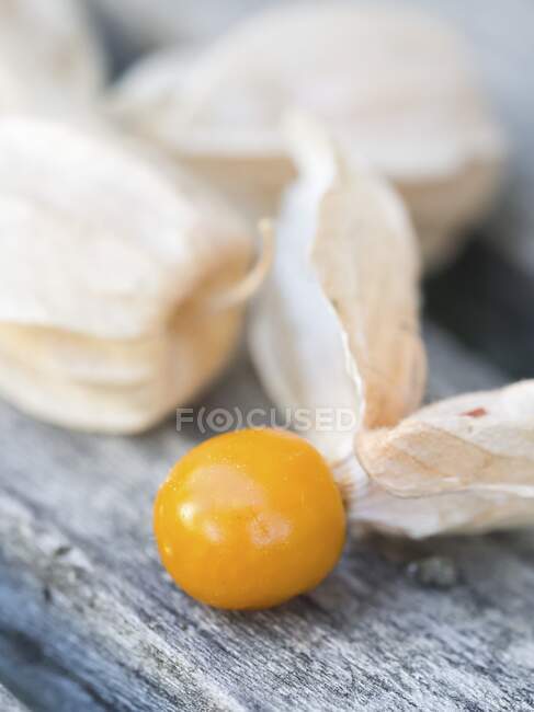 Cape gooseberry (Physalis peruviana) on an old wooden bench — Stock Photo