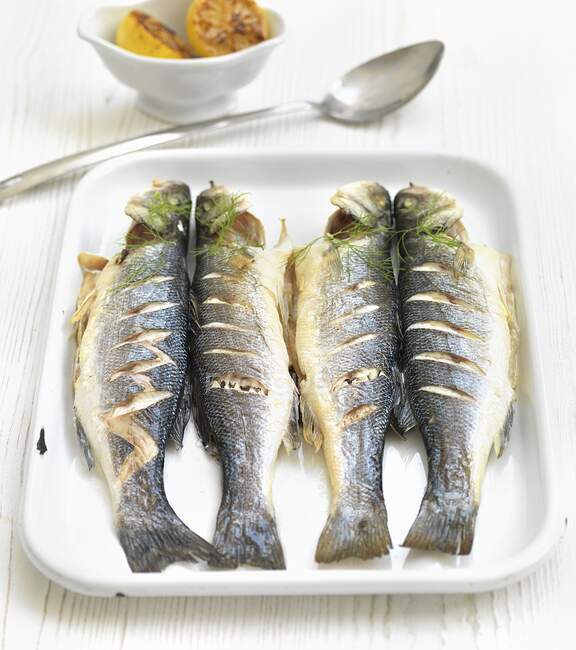 Seabass with dill close-up view — Stock Photo