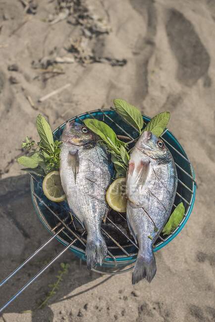 Pesce alla griglia su una spiaggia con erbe aromatiche e limone — Foto stock