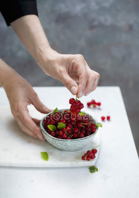 Fresh currants in a bowl — Stock Photo