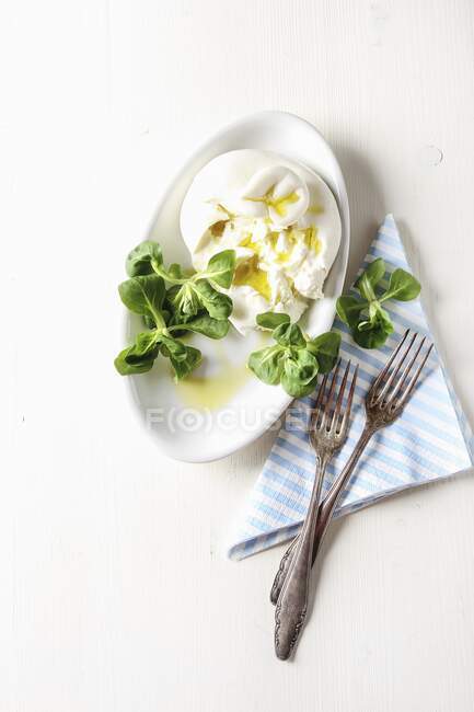 Итальянский свежий сыр буррата в керамическом пюре с зеленым салатом — стоковое фото