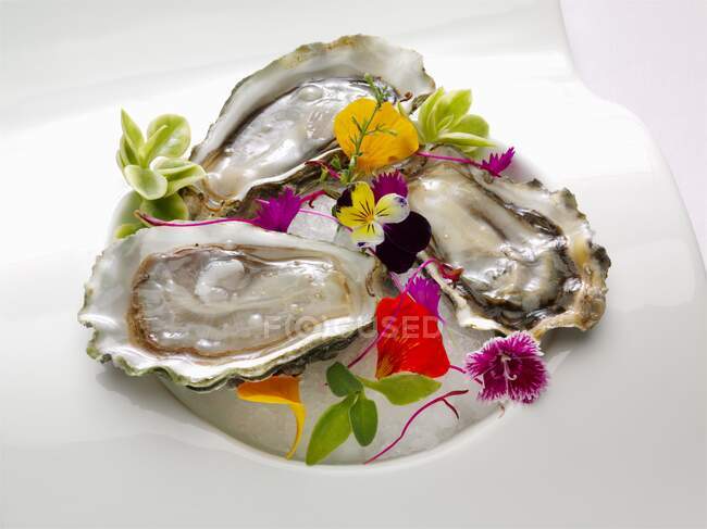 Un piatto di tre ostriche su mezzo guscio guarnito con fiori commestibili — Foto stock