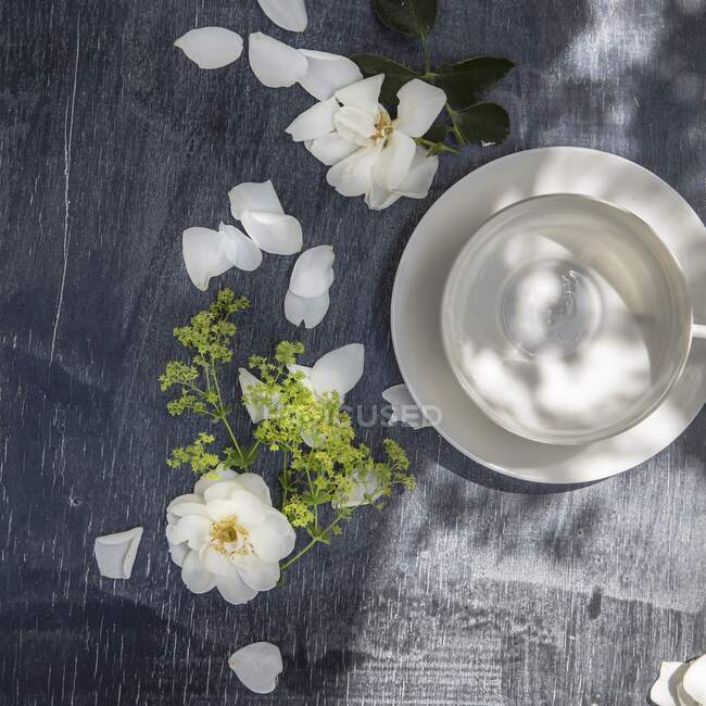 An empty white tea cup beside white rose petals (top view) — Stock Photo
