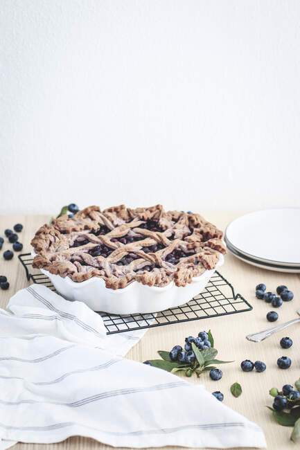 Gros plan de délicieuse tarte aux myrtilles — Photo de stock