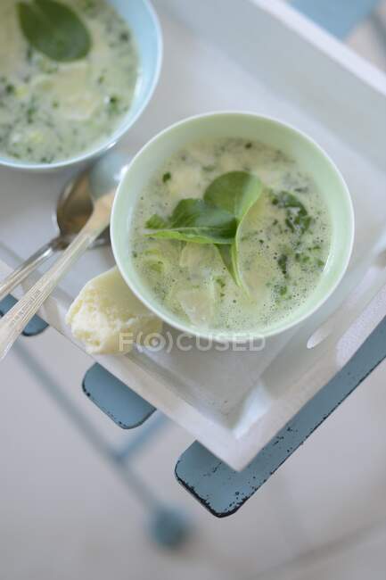 Parmesan soup with herbs — Stock Photo