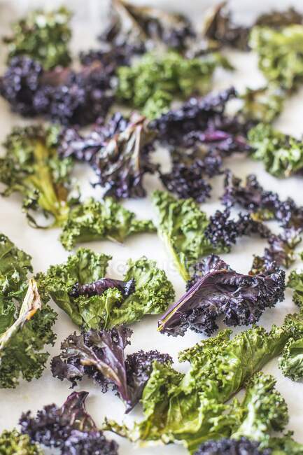 Kale Chips vista de close-up — Fotografia de Stock