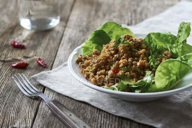 Lentil salad with coriander and green salad leaves — Stock Photo