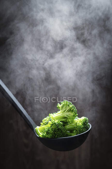 Broccoli and vegetables on a black background — Stock Photo