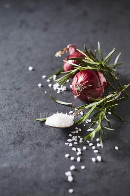 An arrangement of red onions, rosemary and coarse salt — Stock Photo