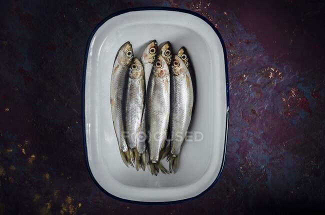 Fresh sprats on a plate (top view) — Stock Photo