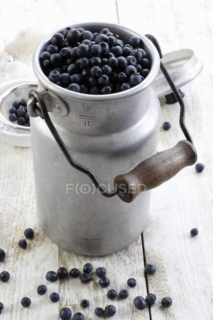 Forest blueberries in a retro bucket — Stock Photo