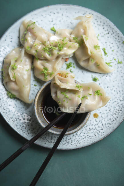 Vegan Asian vegetable dumplings with soy sauce — Stock Photo