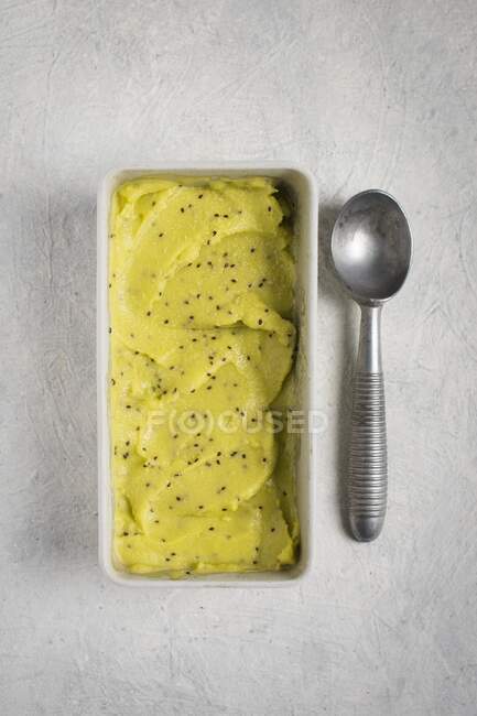 Kiwi sorbet in a metal container — Stock Photo