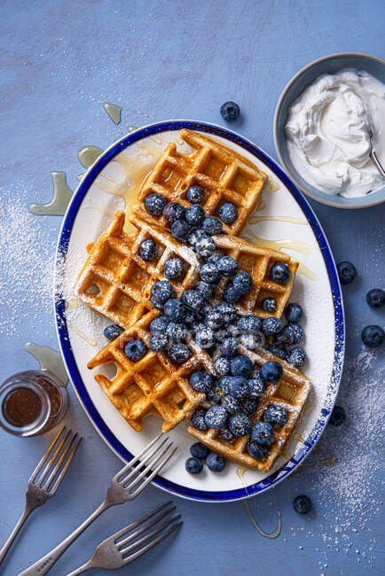 Waffles caseiros com mel, mirtilos e iogurte grego — Fotografia de Stock