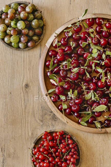 Cerezas frescas, grosellas rojas y grosellas - foto de stock