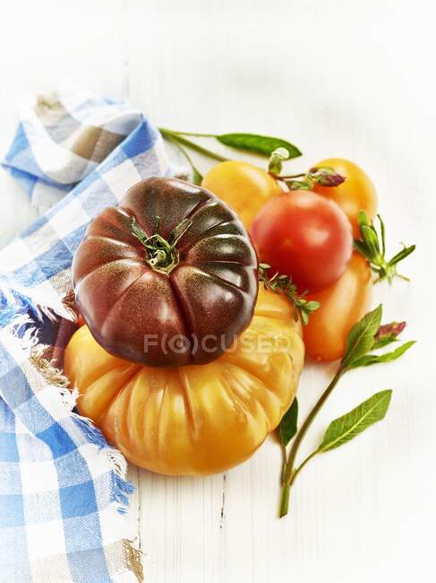 Colourful tomatoes with sage and thyme — Stock Photo