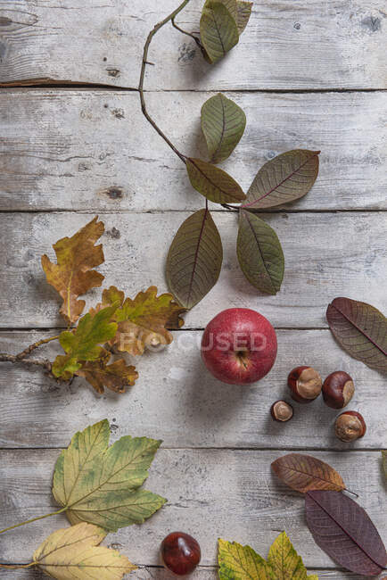 Foglie autunnali e mele su sfondo di legno — Foto stock