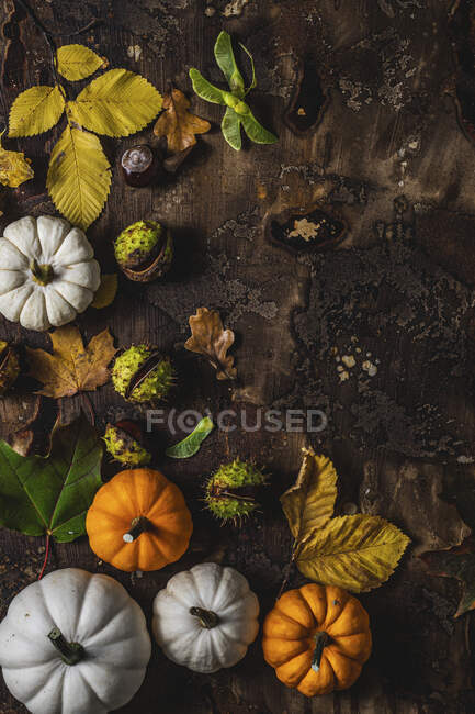 Autumn pumpkins chestnuts and leaves — Stock Photo