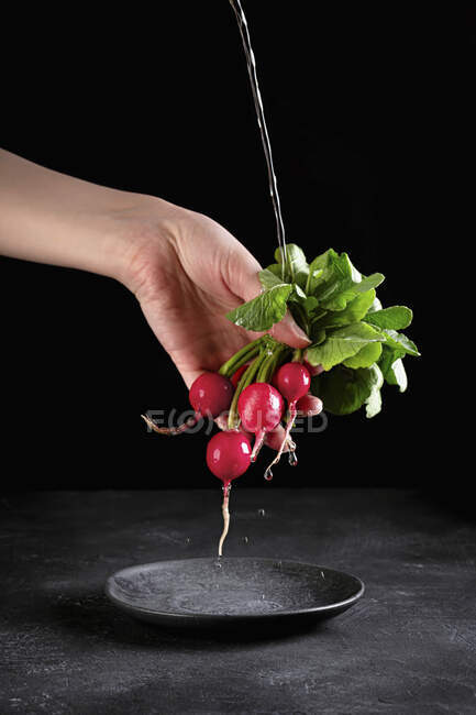 A bunch of radishes being washed — Stock Photo
