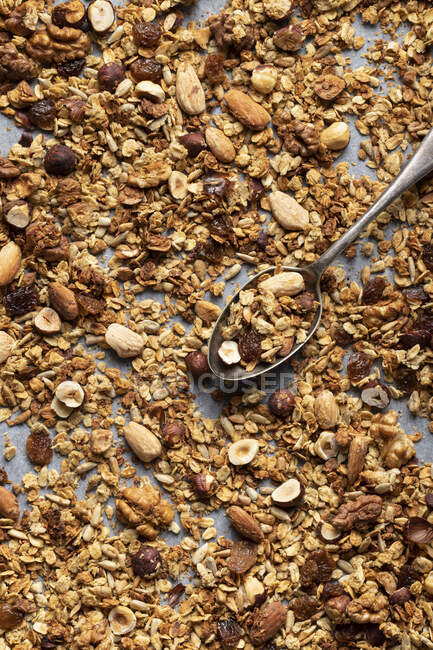 Homemade apple granola with almonds, hazelnuts and walnuts — Stock Photo