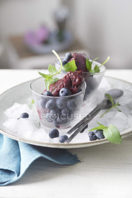 Summer blueberry sorbet with mint — Stock Photo
