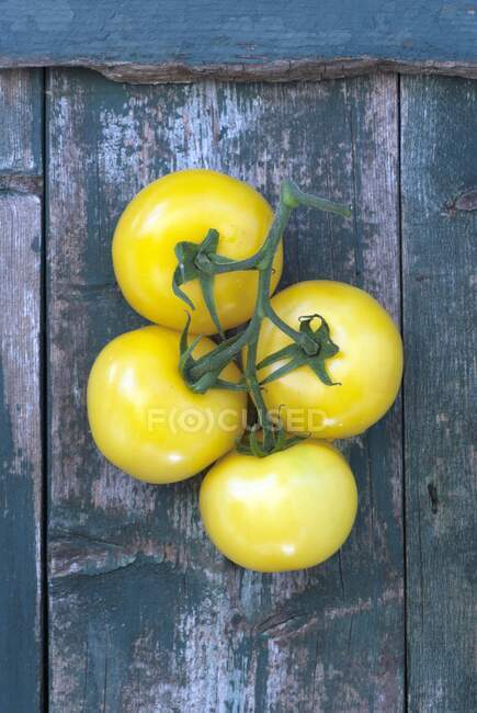 Tomates herederos amarillos vista de cerca - foto de stock
