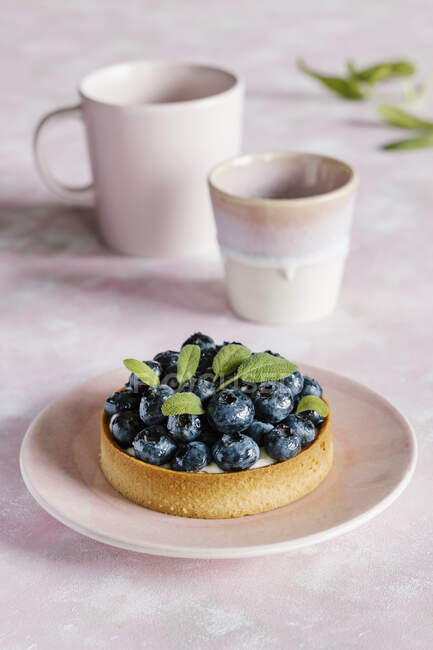 Blueberry tart with custard cream — Stock Photo