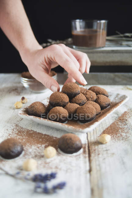 Praliné de chocolate hecho con avellana y cacao - foto de stock