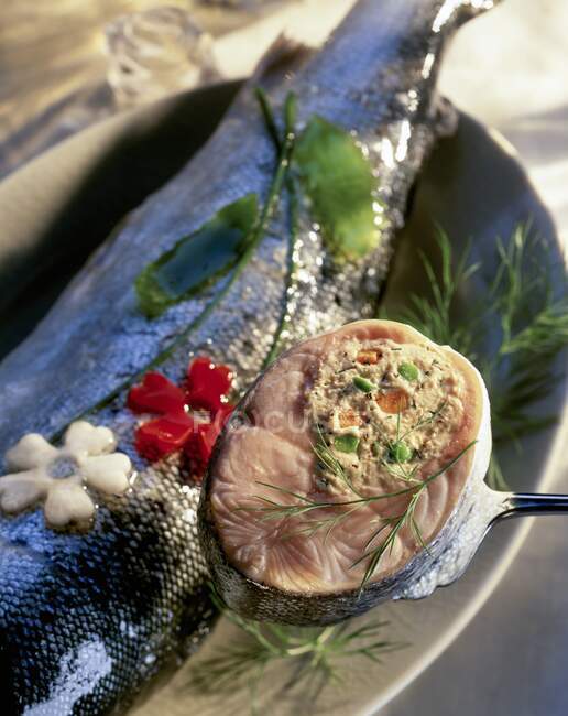 Gros plan sur le saumon farci — Photo de stock
