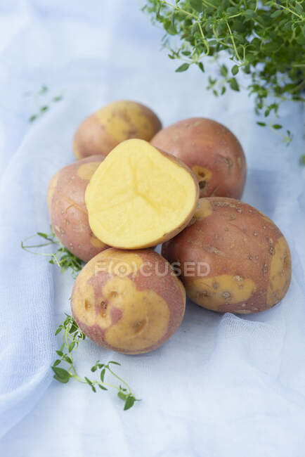 Patatas frescas sobre un fondo blanco - foto de stock