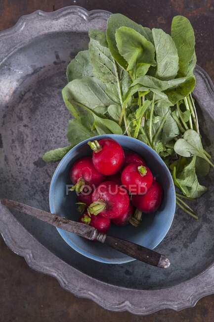 Radishes in a bowl with a knife (top view) — Stock Photo