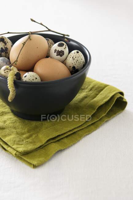 Chicken and quail eggs in small bowl with branch — Stock Photo