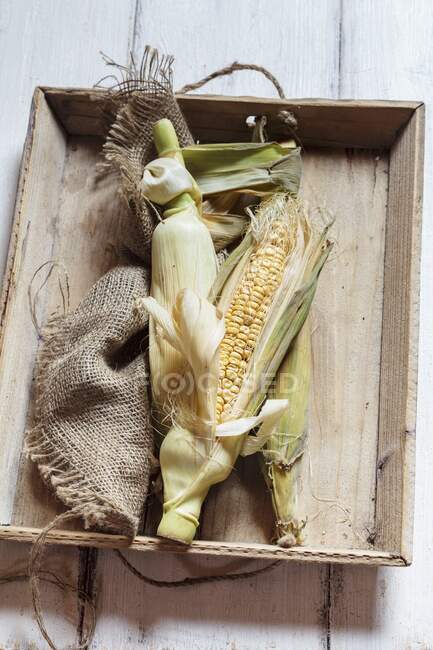 Corncobs on a wooden tray — Stock Photo