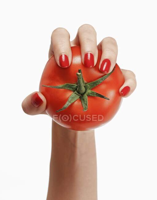 La mano di una donna con le unghie rosse che tiene un pomodoro — Foto stock