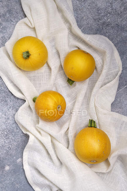 Piccola zucca rotonda gialla — Foto stock