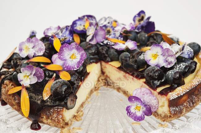Blueberry cheese cake on a glass cake stand decorated with Pansy flowers and Marigold petals — Stock Photo