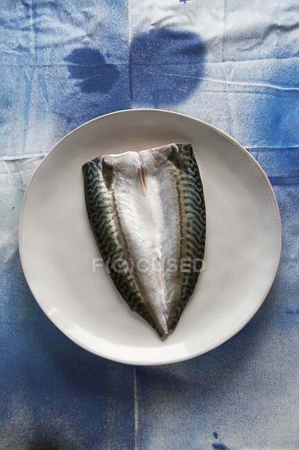 Ein rohes Makrelenfilet auf einem Teller (Draufsicht)) — Stockfoto