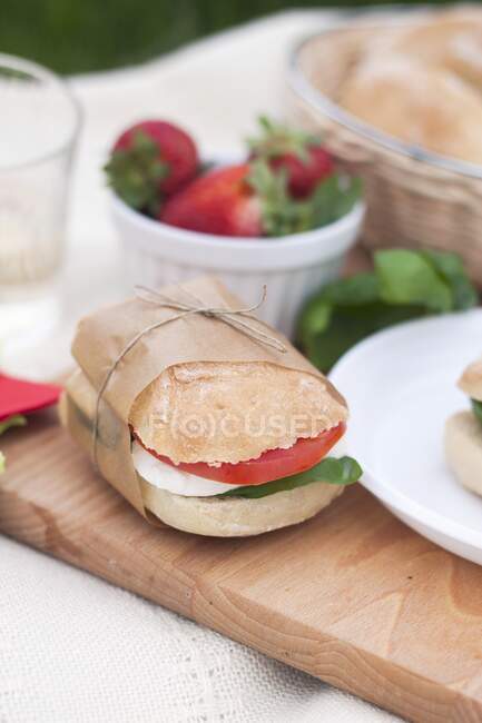 Sándwich caprese con ciabatta, mozzarella, tomate y albahaca - foto de stock