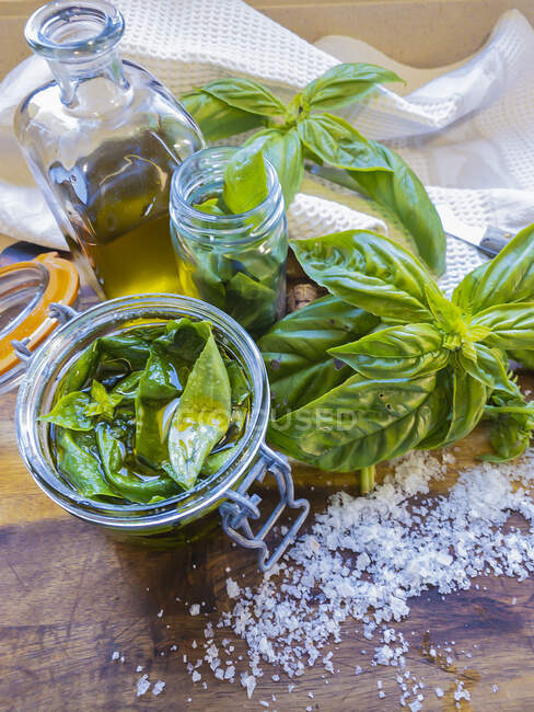 Basil in olive oil — Stock Photo