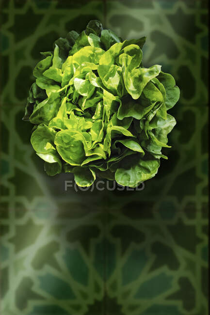 Green lettuce (seen from above) — Stock Photo