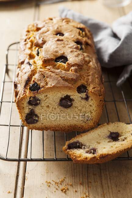 A sliced blueberry loaf cake on a wire cooling rack — Stock Photo